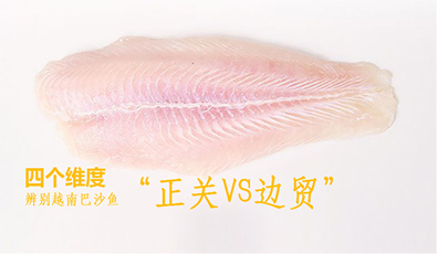 正关或边贸?餐饮人如何正确选择越南巴沙鱼?